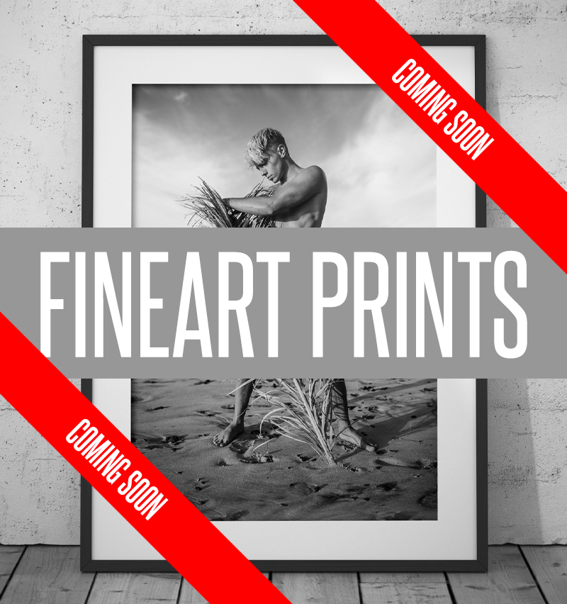 FINEART PRINTS